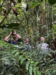 People looking upwards in a forest